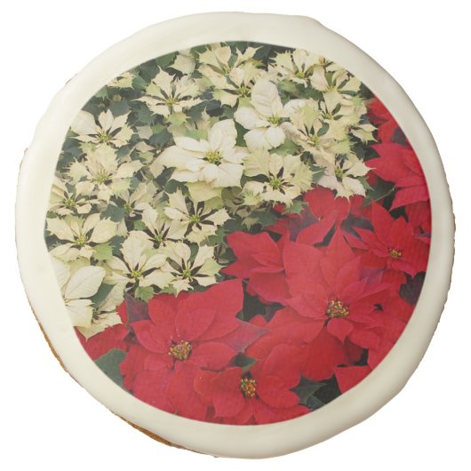 White and Red Poinsettias I Holiday Floral Sugar Cookie (Front)