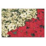 White and Red Poinsettias I Holiday Floral Tissue Paper