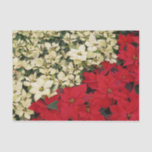White and Red Poinsettias I Holiday Floral Tissue Paper