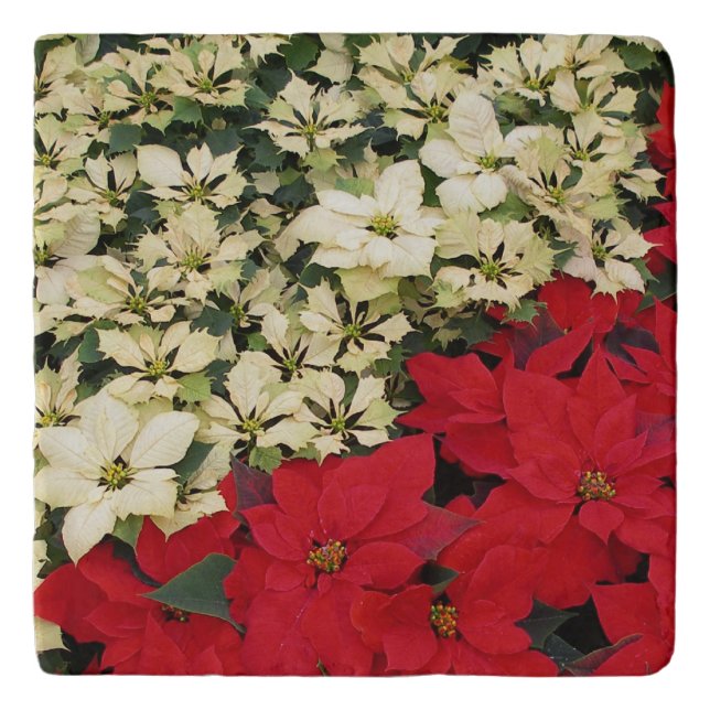 White and Red Poinsettias I Holiday Floral Trivet (Front)