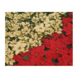 White and Red Poinsettias I Holiday Floral Wood Wall Decor