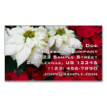 White and Red Poinsettias II Christmas Holiday Business Card Magnet