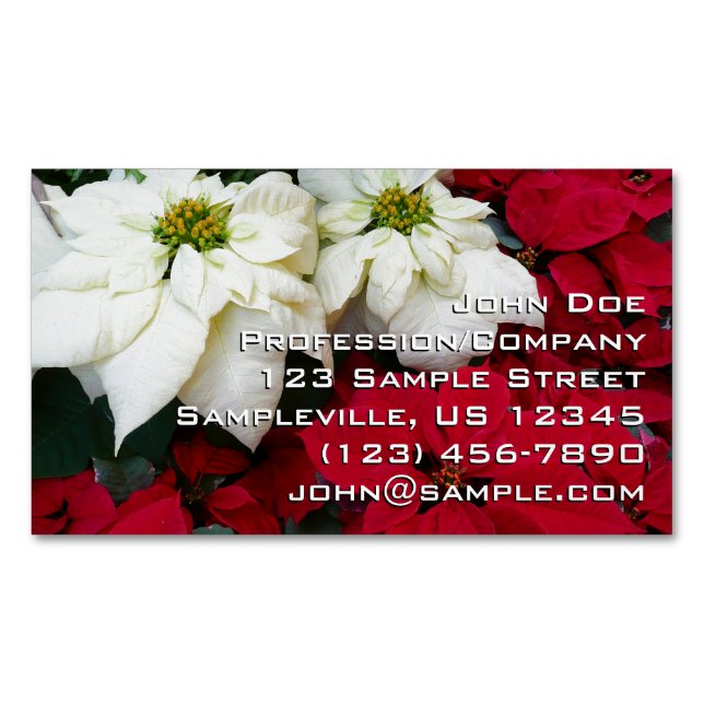 White and Red Poinsettias II Christmas Holiday Business Card Magnet (Front)