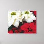 White and Red Poinsettias II Christmas Holiday Canvas Print
