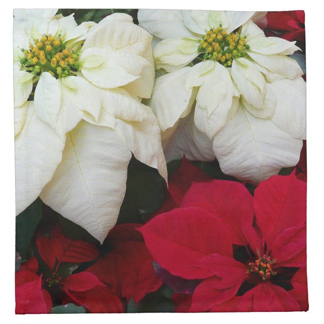 White and Red Poinsettias II Christmas Holiday Cloth Napkin (Front)