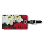 White and Red Poinsettias II Christmas Holiday Luggage Tag