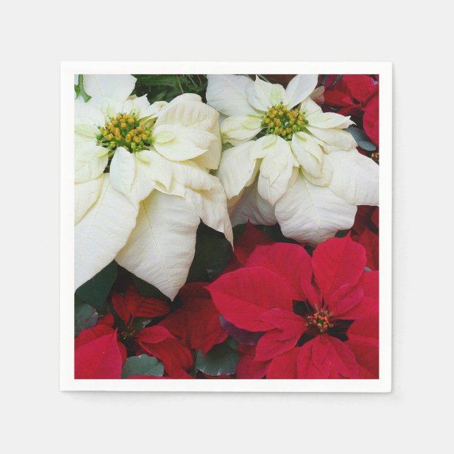 White and Red Poinsettias II Christmas Holiday Napkins (Front)