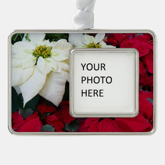 White and Red Poinsettias II Christmas Holiday Ornament (Front)
