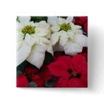 White and Red Poinsettias II Christmas Holiday Pinback Button