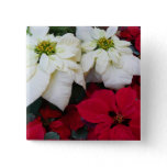 White and Red Poinsettias II Christmas Holiday Pinback Button