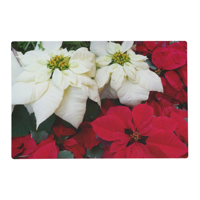 White and Red Poinsettias II Christmas Holiday Placemat (Front)