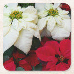 White and Red Poinsettias II Christmas Holiday Square Paper Coaster