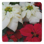 White and Red Poinsettias II Christmas Holiday Trivet