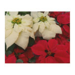White and Red Poinsettias II Christmas Holiday Wood Wall Decor