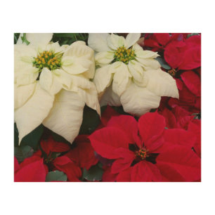 White and Red Poinsettias II Christmas Holiday Wood Wall Decor
