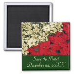 White and Red Poinsettias Save the Date Magnet
