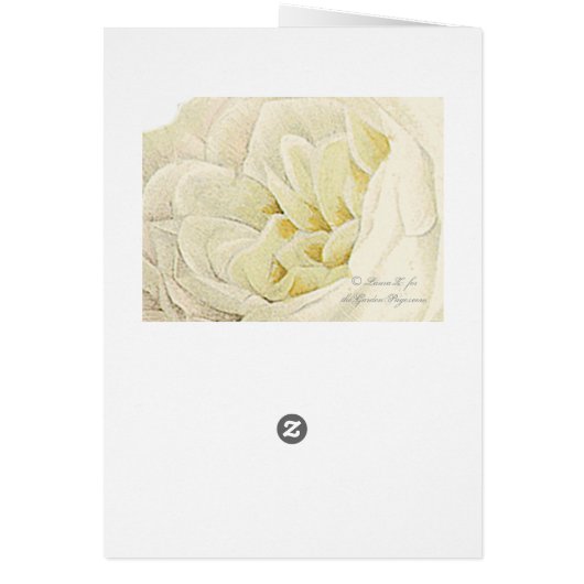 White and Red Roses Botanical Art Card (Back)
