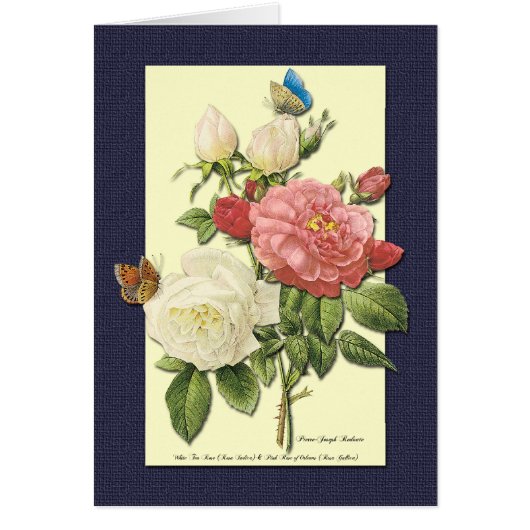 White and Red Roses Botanical Art Card (Front)