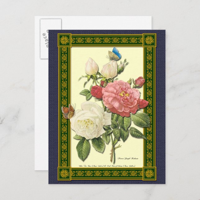 White and Red Roses Botanical Postcard (Front/Back)