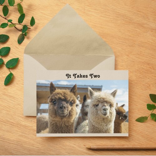 White and Reddish Brown Curly Haired Alpaca Couple Card