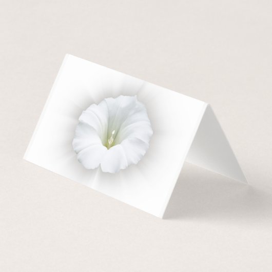 white and shades of gray (Front)