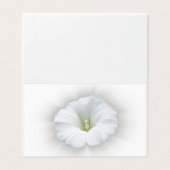 white and shades of gray (Outside Unfolded)