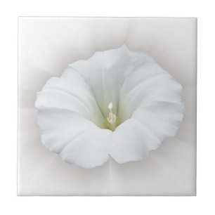 white and shades of gray ceramic tile
