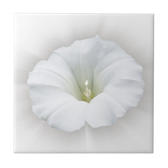 white and shades of gray ceramic tile (Front)