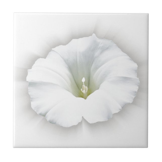 white and shades of gray ceramic tile (Front)