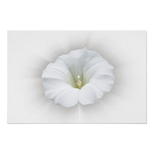 white and shades of gray poster (Front)