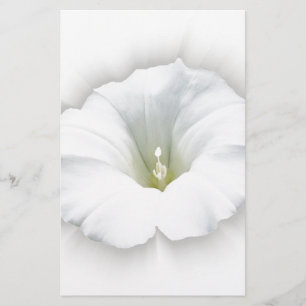 white and shades of gray stationery
