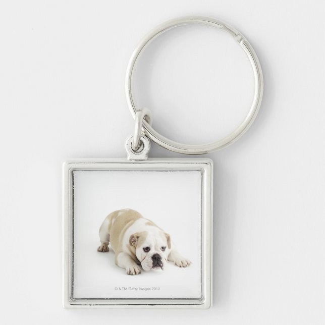 White and tan bulldog keychain (Front)