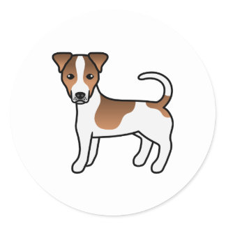 White And Tan Smooth Coat Jack Russell Terrier Dog Classic Round Sticker