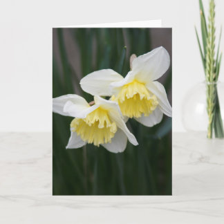 White and yellow Daffodils Greeting Card