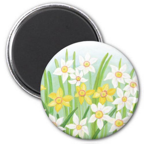 White and Yellow Daffodils Magnet