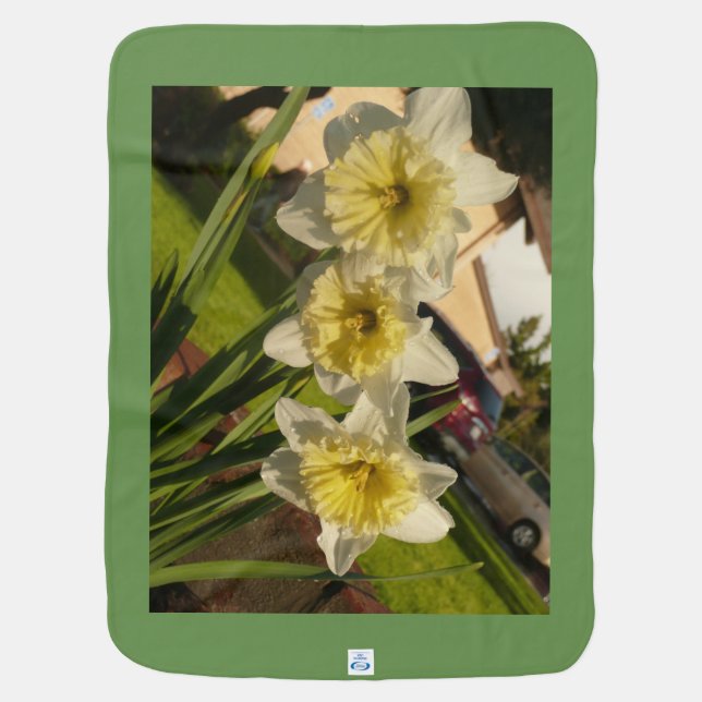 White and yellow daffodils spring flowers easter baby blanket (Back)