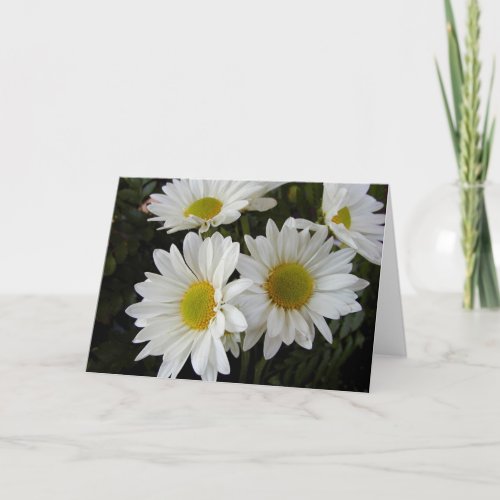 White and Yellow Daisies Blank Note Card