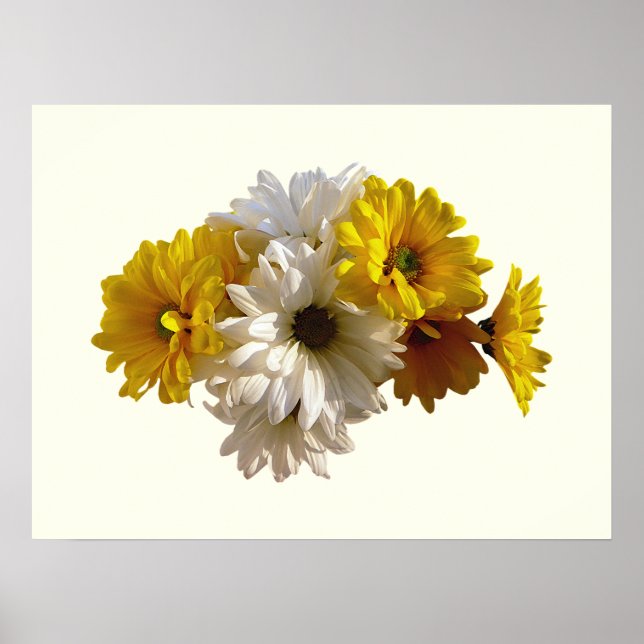 White and Yellow Daisies Poster (Front)