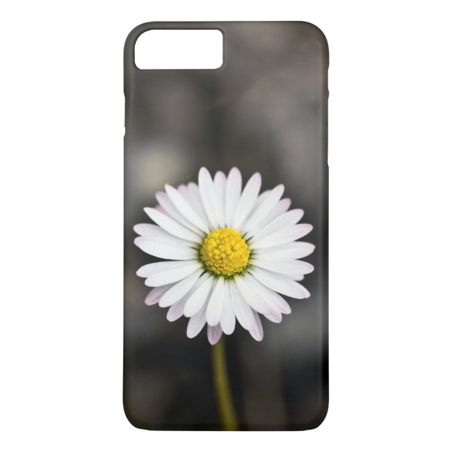 White and yellow daisy iPhone Case