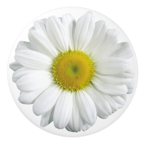 White and Yellow Daisy Pretty Ceramic Knob