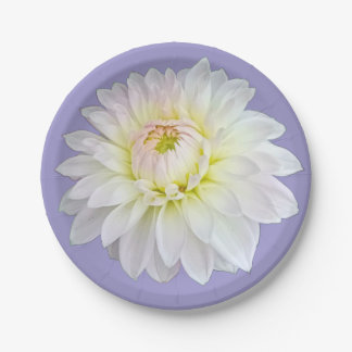 White and yellow flower paper plates