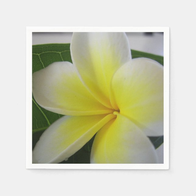 White And Yellow Frangipani Flower Napkins (Front)
