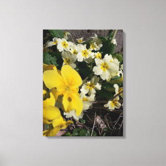 White and yellow garden flowers canvas print