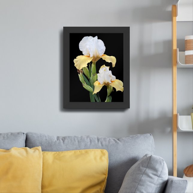 White and Yellow Irises Floral Framed Art (Living Room 3)