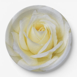 White and Yellow Rose Paper Plates