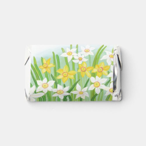 White and Yellow Spring Daffodils   Hersheys Miniatures