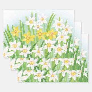 White and Yellow Spring Daffodils  Wrapping Paper Sheets