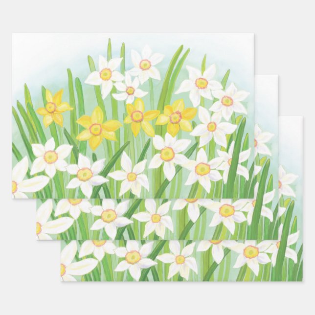 White and Yellow Spring Daffodils  Wrapping Paper Sheets (Set)