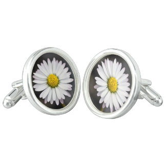 White and yellow wild daisy cufflinks