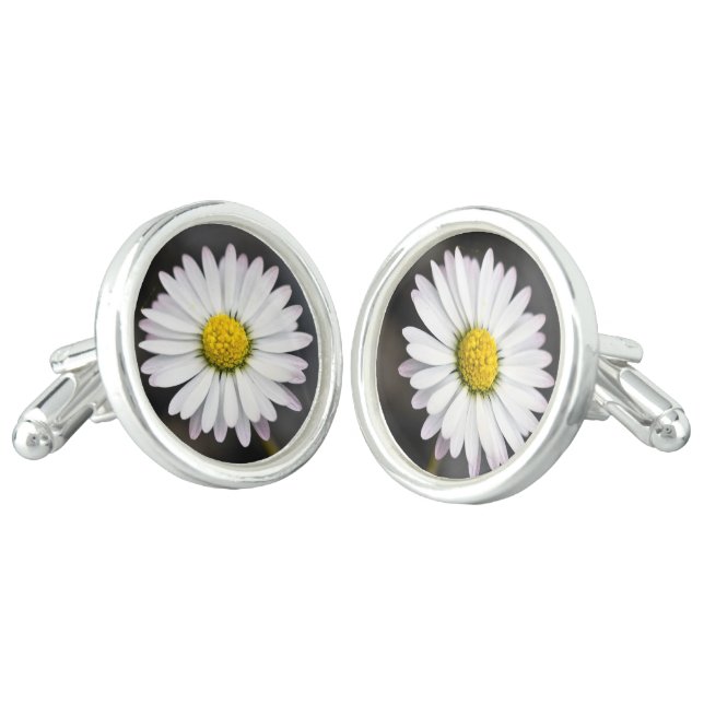 White and yellow wild daisy cufflinks (Angled)